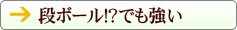 ダンボール！？でも強い